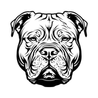 American Bully (3).png
