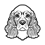 American Cocker Spaniel (4).png