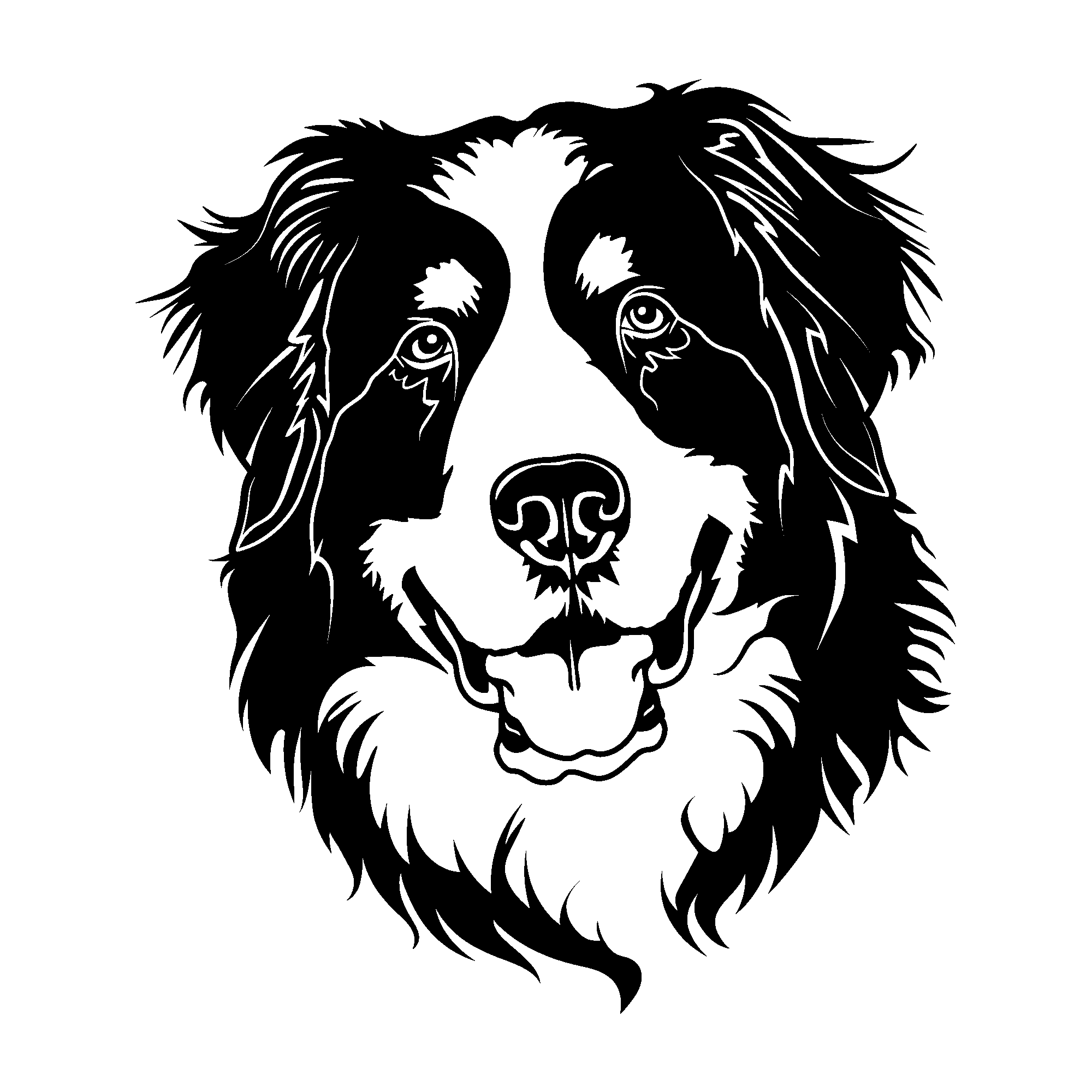 Bernese Mountain Dog (2).png