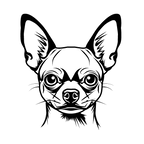 Chihuahua (3).png