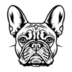 French Bulldog (2).png
