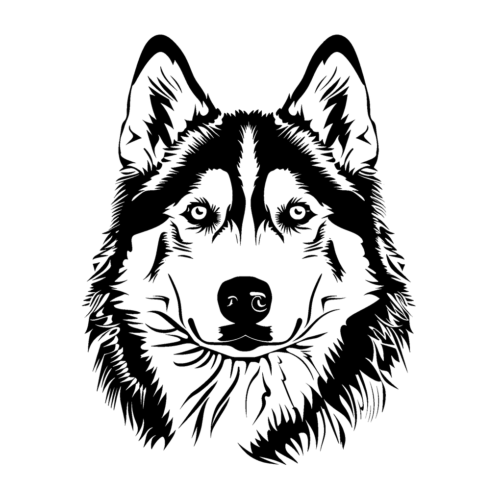 Husky Malamute Mix (1).png