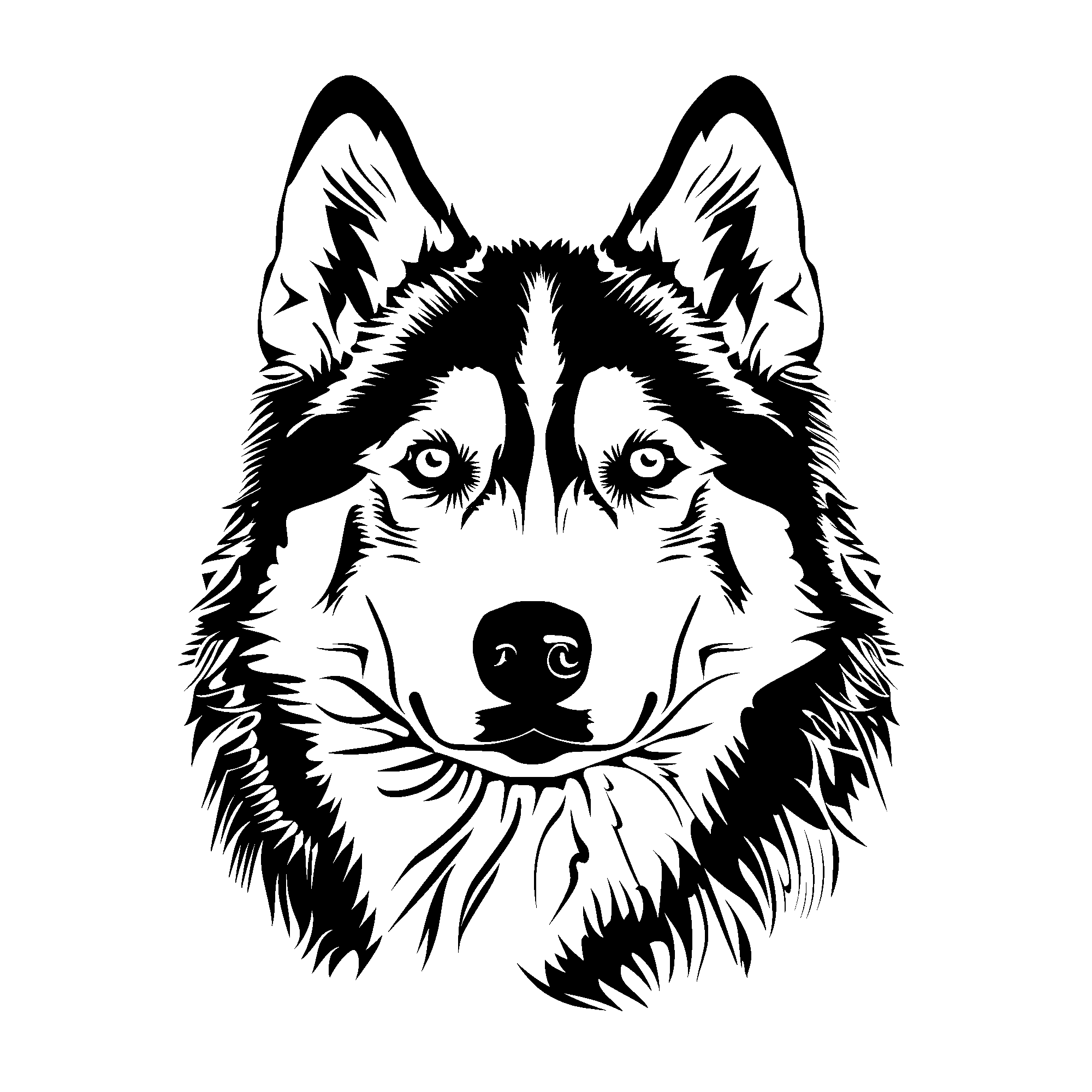 Husky Malamute Mix (1).png